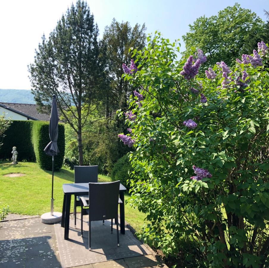 Ferienwohnung Appartement In Rheinbrohl المظهر الخارجي الصورة